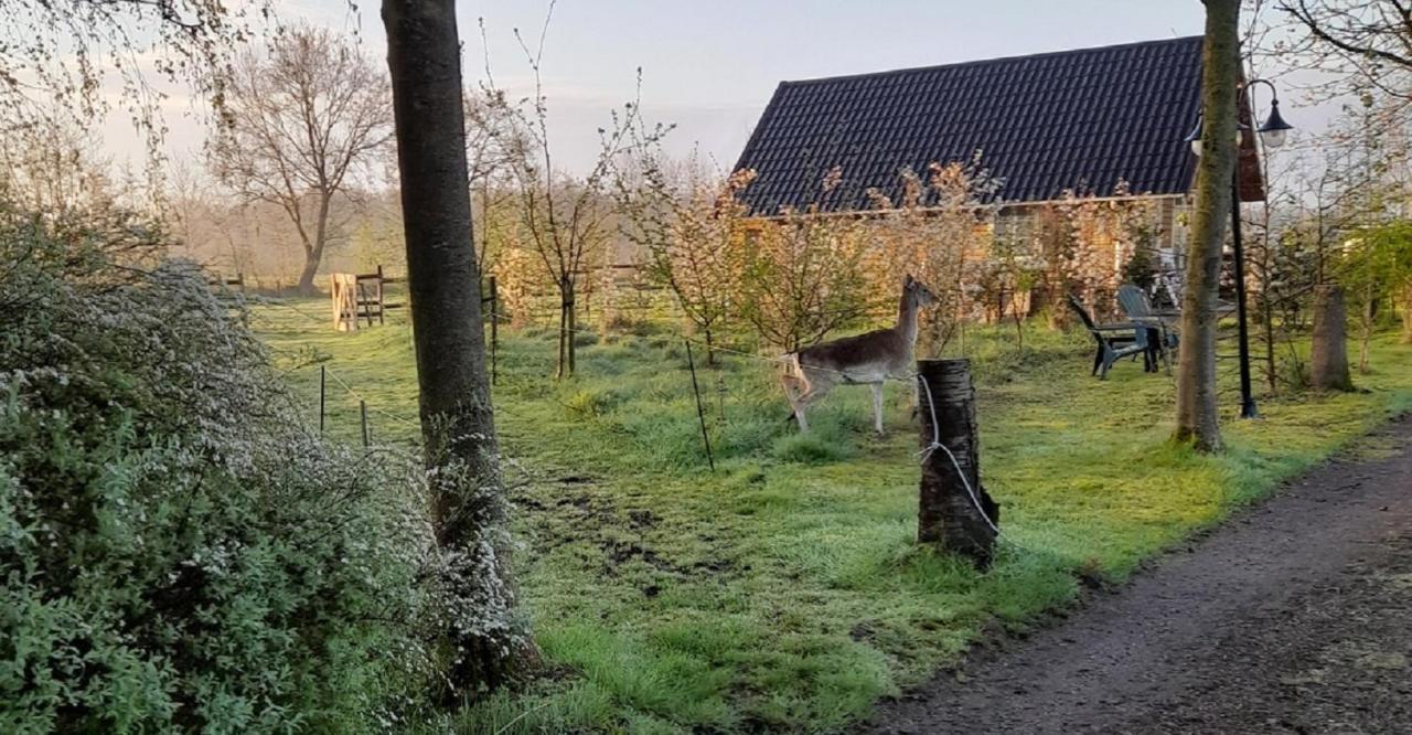 B&B Landgoed Sonneborghe Kollumerzwaag ภายนอก รูปภาพ