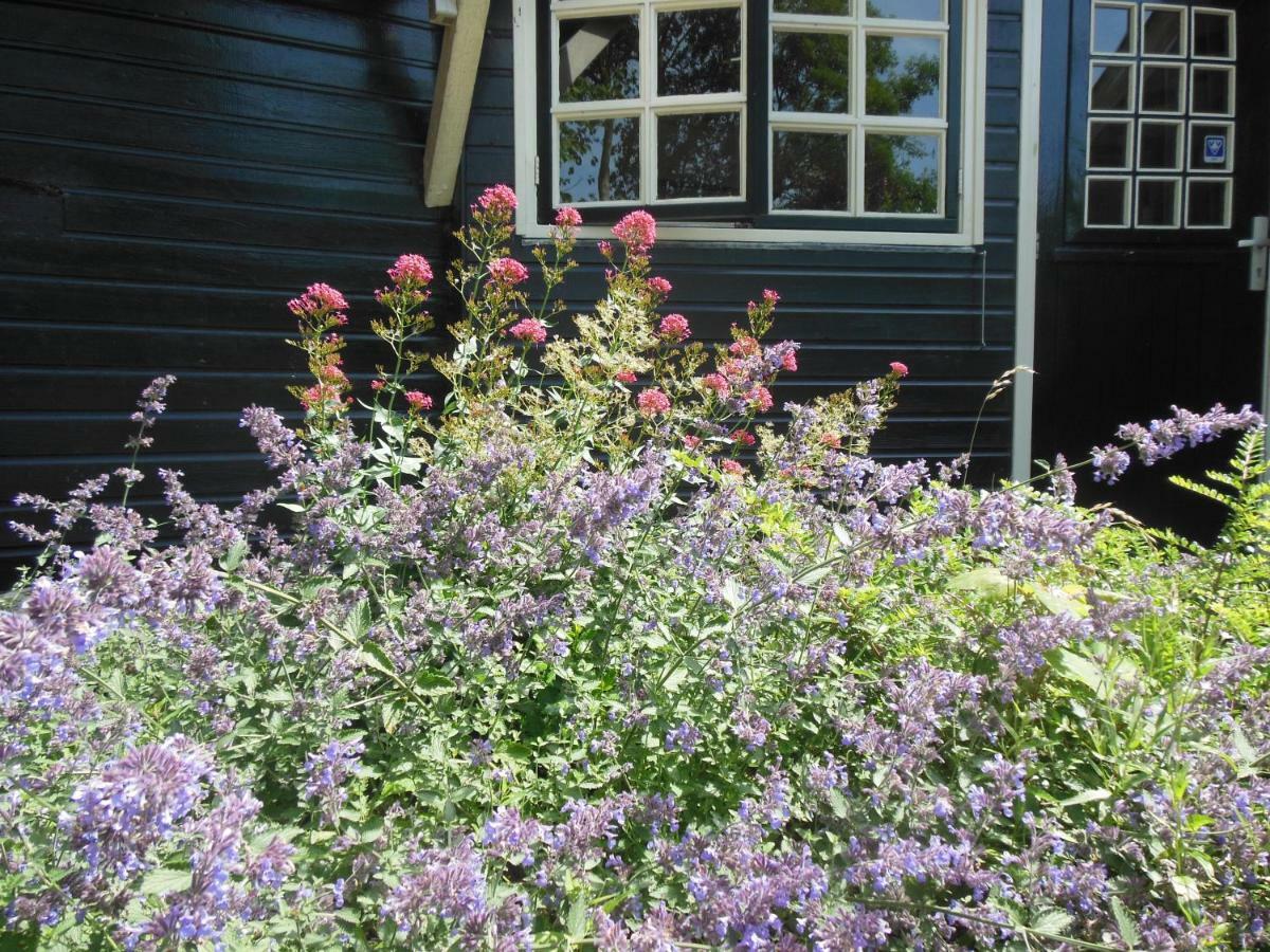 B&B Landgoed Sonneborghe Kollumerzwaag ภายนอก รูปภาพ